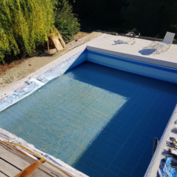 Accessoires et Produits d'Entretien : Maintenez votre Piscine dans un État Impeccable Valence